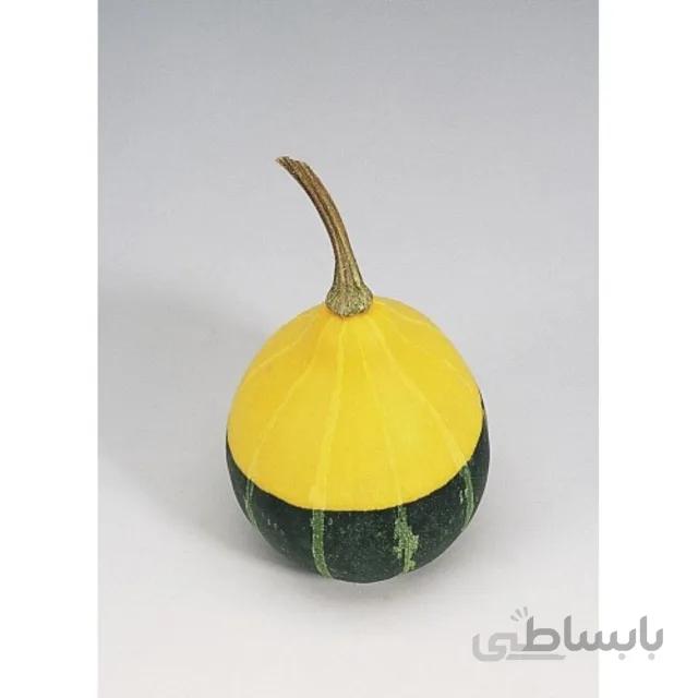 بذر کدو گلابی میکس بسته ۵ عددی