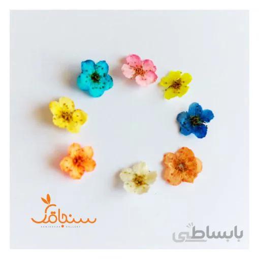 گل اسپیره (بسته های ۵ عددی)