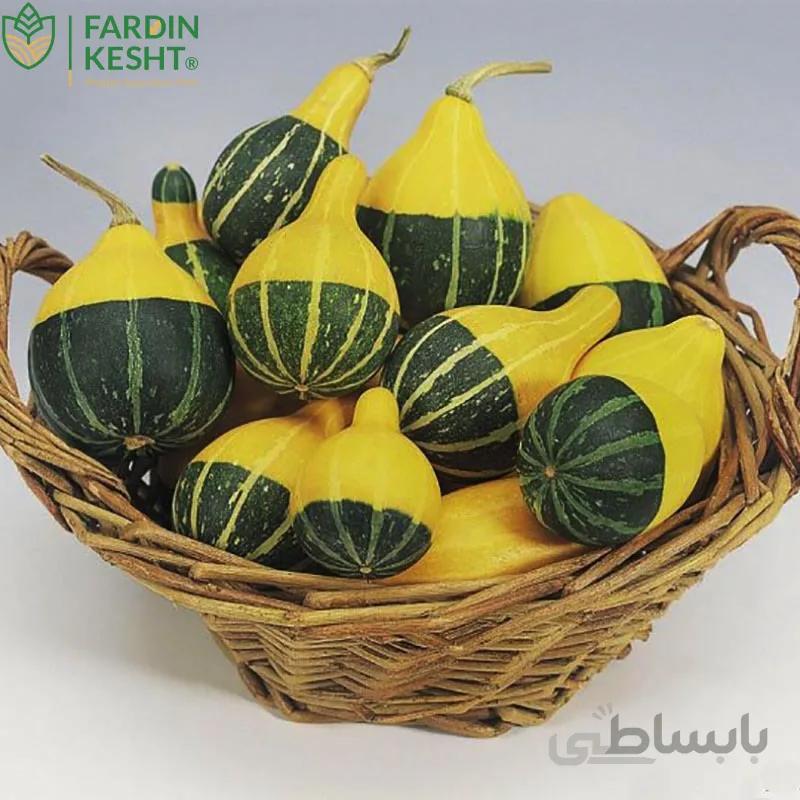 بذر کدو گلابی زینتی بسته 5 عددی