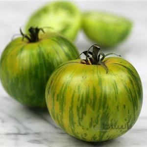 بذر گوجه رقم Green Zebra