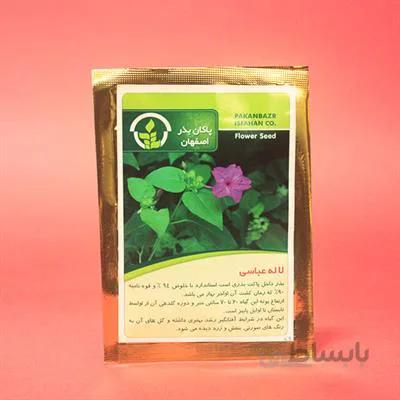 بذر گل لاله عباسی