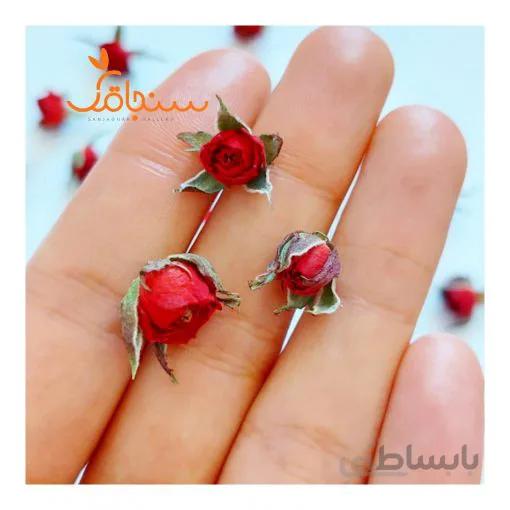 غنچه ساناز قرمز گوجه ایی(بسته ۱۰ عددی)