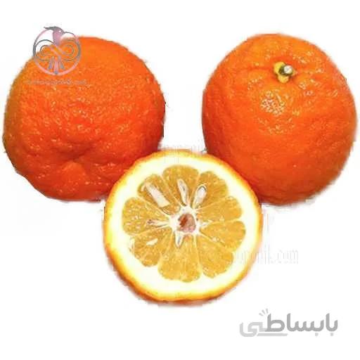نهال نارنج چينی