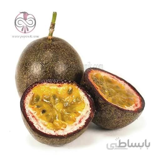نهال پشن فروت ارغوانی