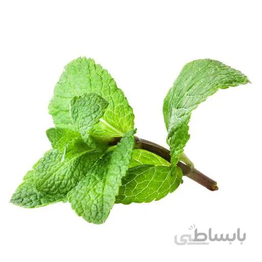 بذر پونه پنی رویال