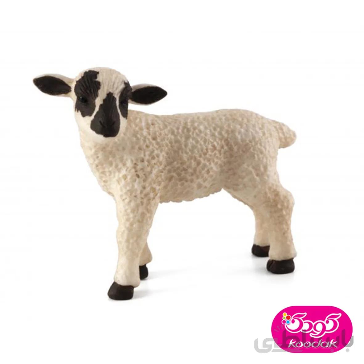 بره صورت سیاه ایستاده 387059 – حیوانات موجو