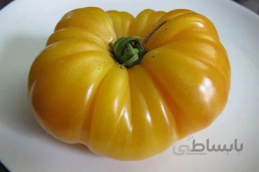 بذر گوجه فرنگی آناناسی بسته ۲۰ عددی