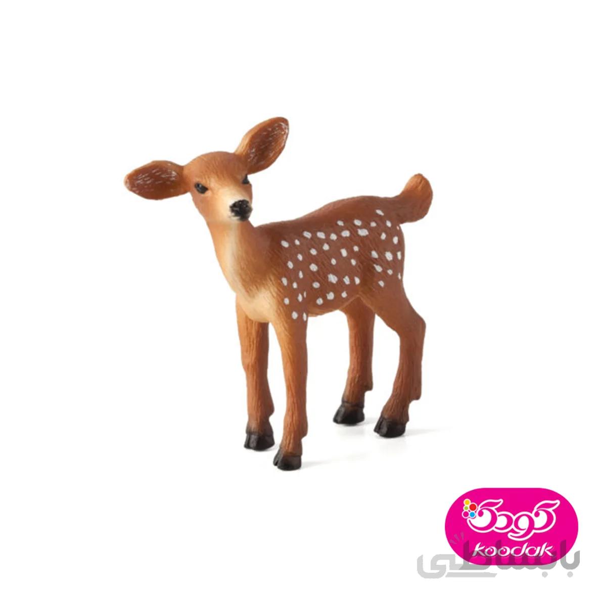 بره گوزن دم سفید 387036 – حیوانات موجو
