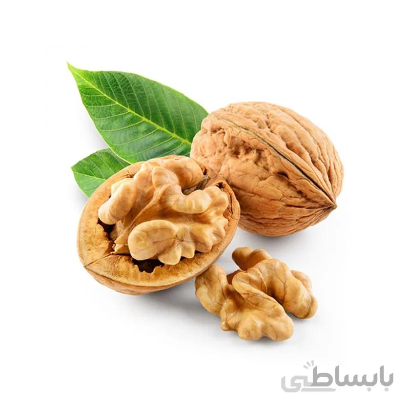 گردو