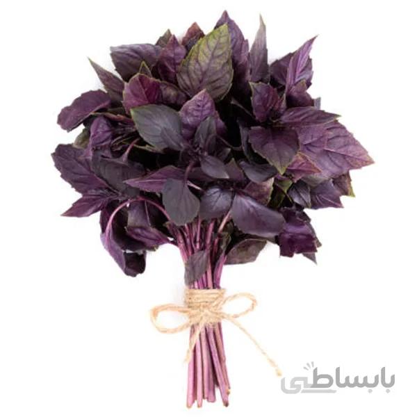 بذر ریحان بنفش درجه 1