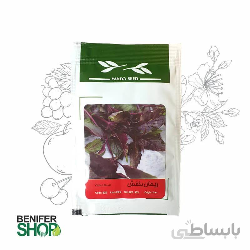 بذر خانگی ریحان بنفش آذر سبزینه