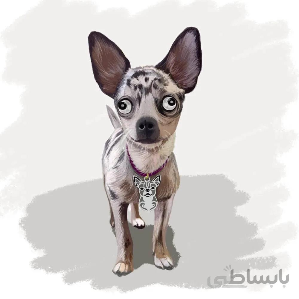 اویز قلاده استیل طرح نژاد شی هوا هوا کد cd 03 ا Steel Tag Breed Chihuahua Model CD-03