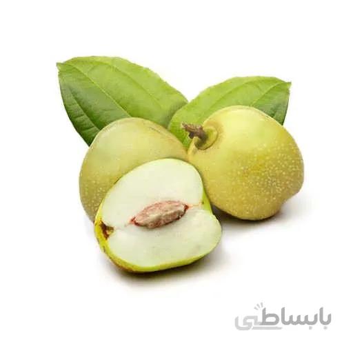 بذر کنار هندی گرد