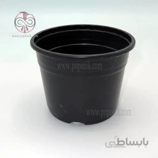 گلدان ژله ای سایز 14