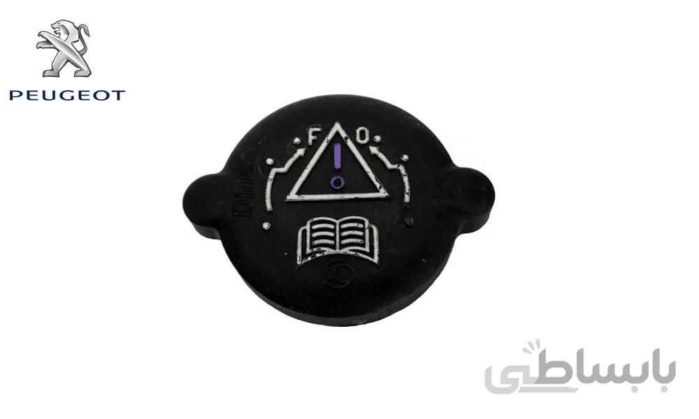 درب رادیاتور پژو 405