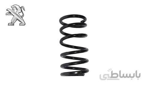 فنر لول جلو پژو 405