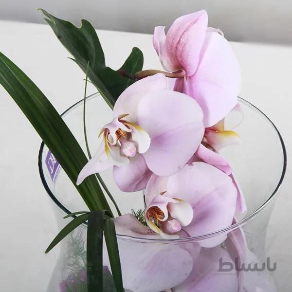 گلدان گل ارکیده