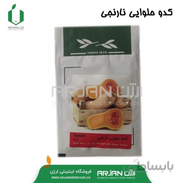 بذر کدو حلوایی نارنجی 3 گرمی