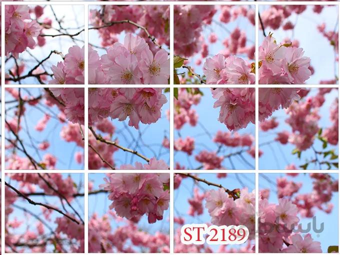 اسمان مجازی st 2189 اندازه 60*60
