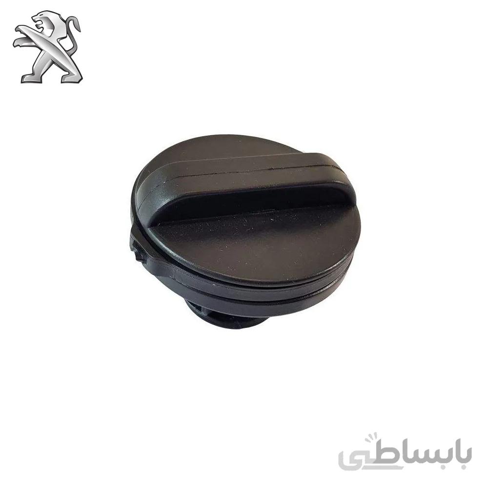 درب باک پژو پارس