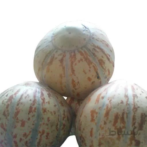 بذر خربزه تیل اتشی
