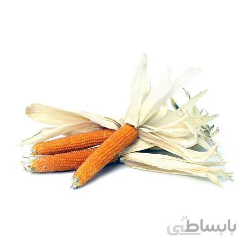 بذر ذرت پاپ کورن