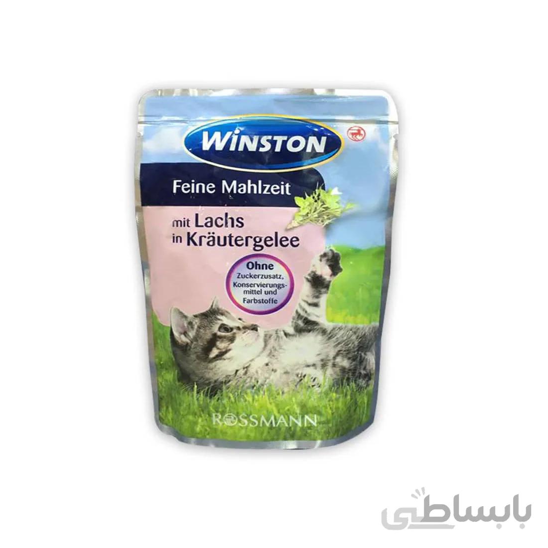 پوچ گربه وینستون با طعم ماهی سالمون-winston