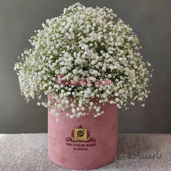 باکس گل ژیپسی