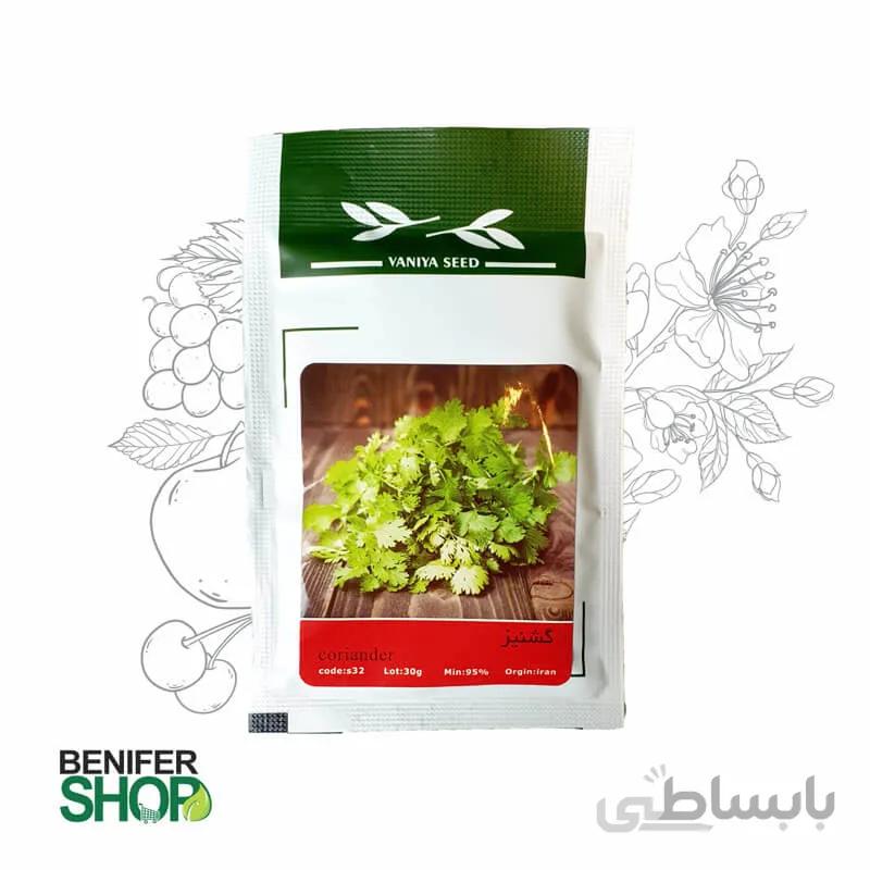بذر خانگی گشنیز آذر سبزینه