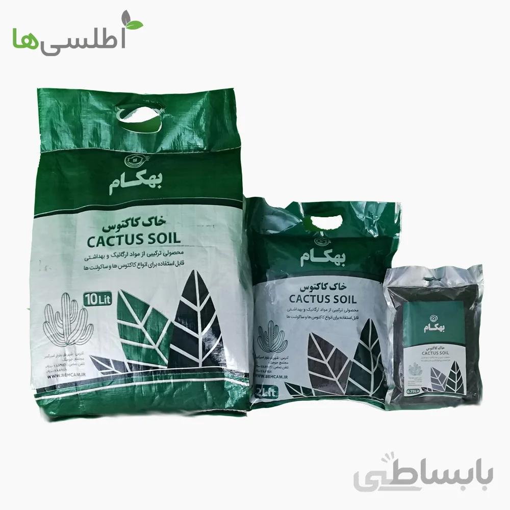 خاک کاکتوس