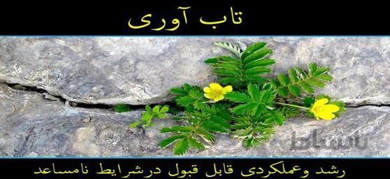 راهنمای عملی مهارت زندگی تاب آوری