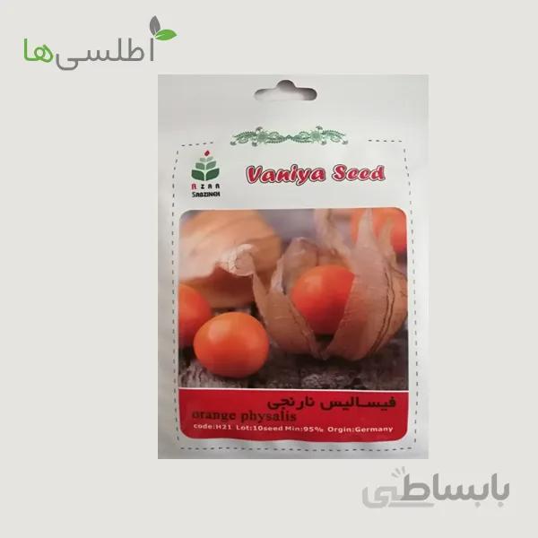 بذر فیسالیس