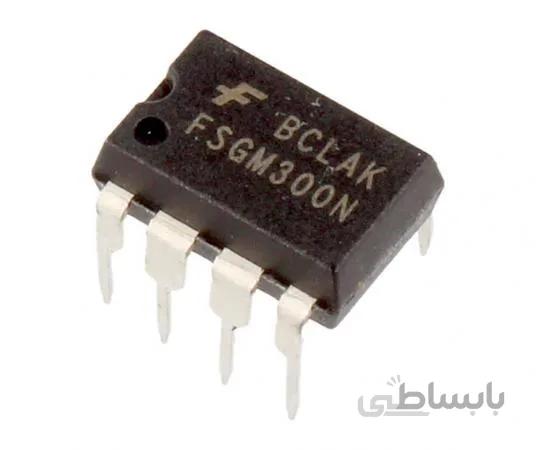FSGM300N