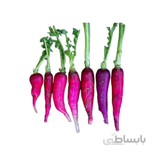 بذر تربچه بلند بنفش