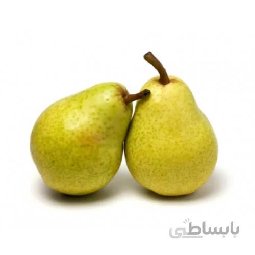 نهال گلابی ریشه پُر (دو ساله)
