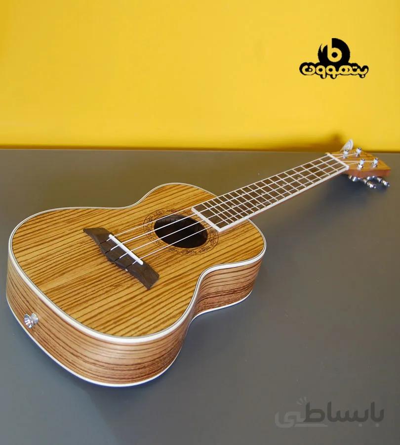 اوکوله له mentreelun 23-250