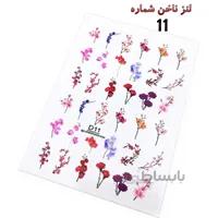 لنز ناخن D11