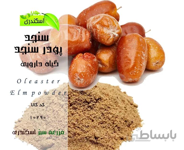 پودر سنجد