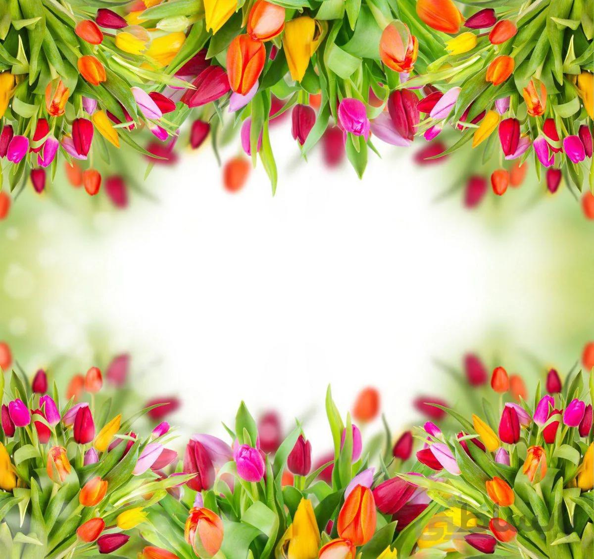 پوستر دیواری کد 934526