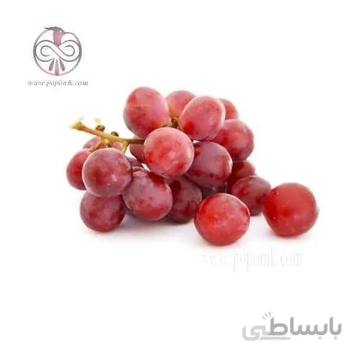 نهال انگور آرژانتينی