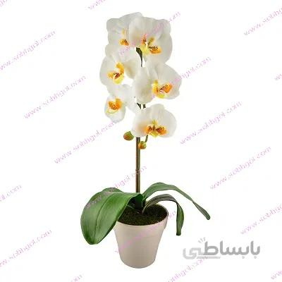 گل ارکیده تک شاخه ORK07