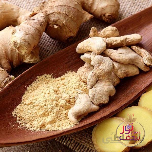 ادویه زنجبیل رضوان بیدخت 500 گرمی
