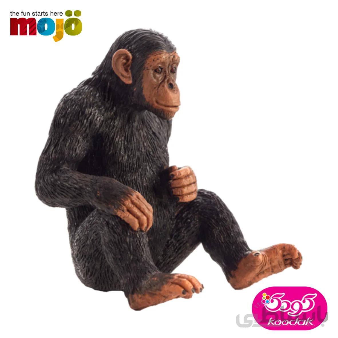 شامپانزه 387265 – حیوانات موجو