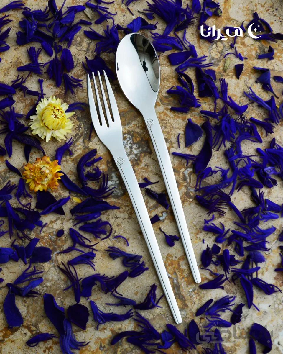 سرویس قاشق و چنگال ۳۰ نفره سیلور برند نیکولاس مدل مسینا