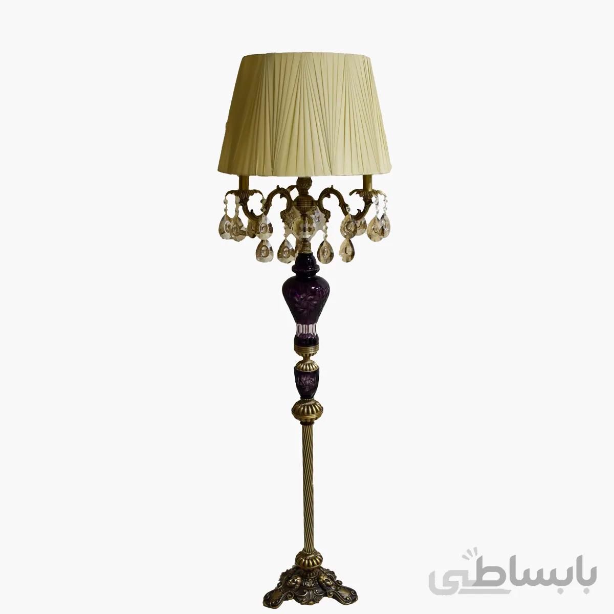اباژور کنار سالنی بنفش 2 پوست