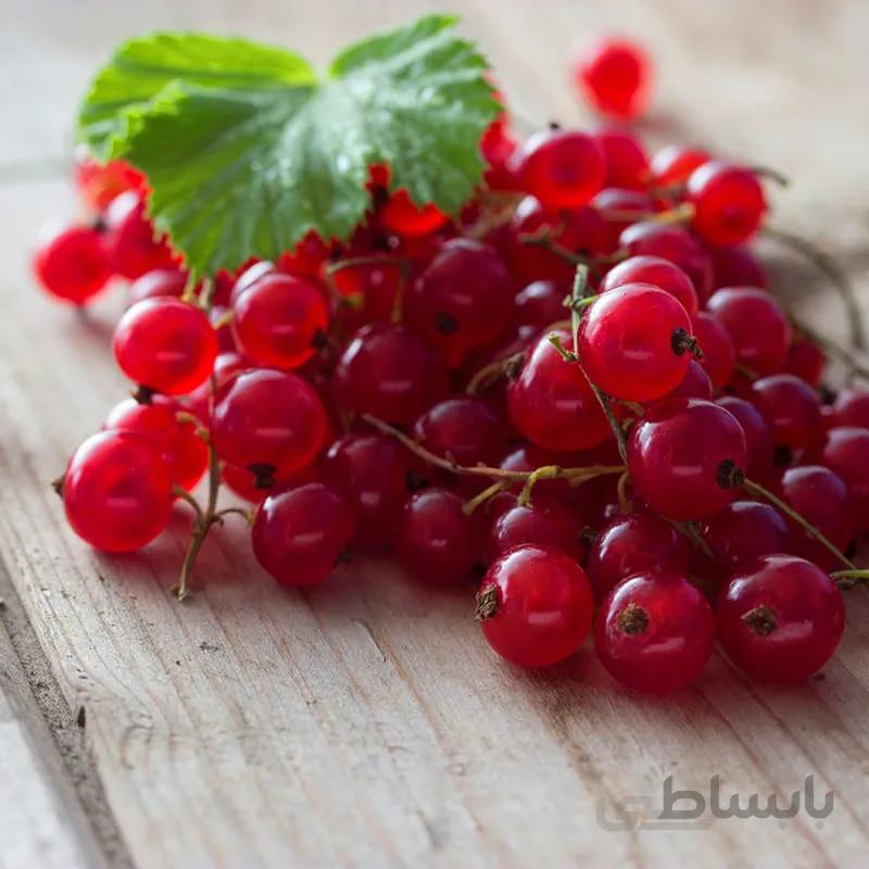 بذر اورجینال انگور ردکارنت ( انگور فرنگی)