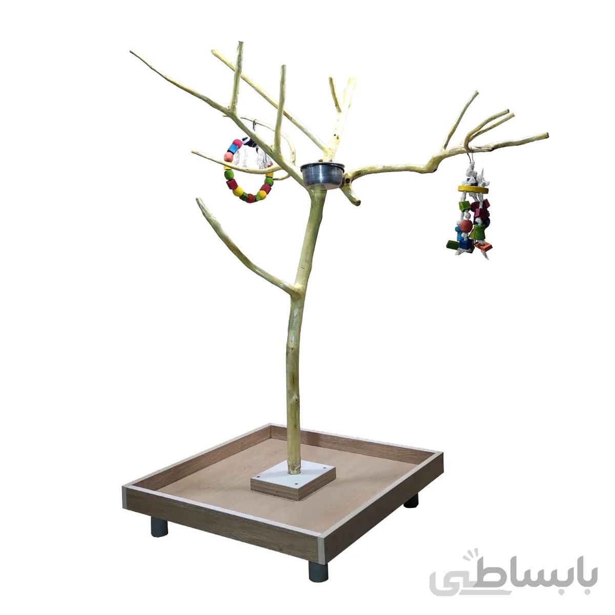 درختچه خزیدن طوطی کد SP2