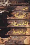 من از گاوی که لگد می زند می ترسم اثر حامد اشتری