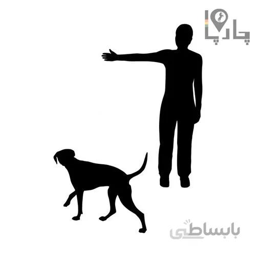 آموزش متدهای مربیگری سگ