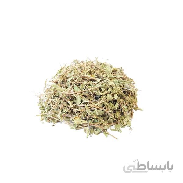 کاکوتی